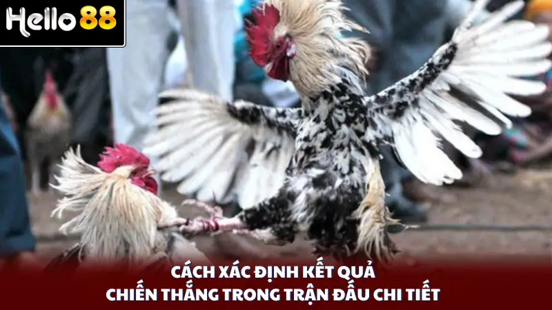 Cách xác định kết quả chiến thắng trong trận đấu chi tiết